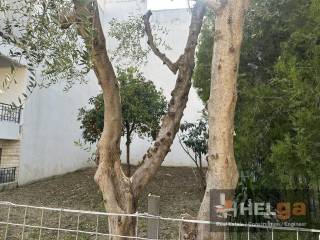 Εξωτερική άποψη