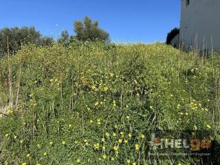 Εξωτερική άποψη