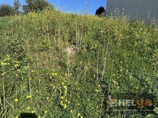 Εξωτερική άποψη