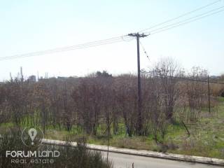 Forumland Real Estate, Αγροτεμάχιο 15.500τ.μ.