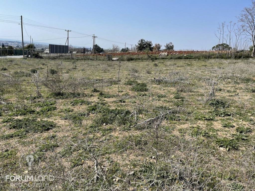 Forumland Real Estate, αγροτεμάχιο 4.000τμ