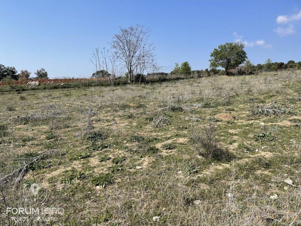 Forumland Real Estate, αγροτεμάχιο 4.000τμ