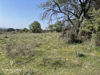 Forumland Real Estate, αγροτεμάχιο 4.000τμ