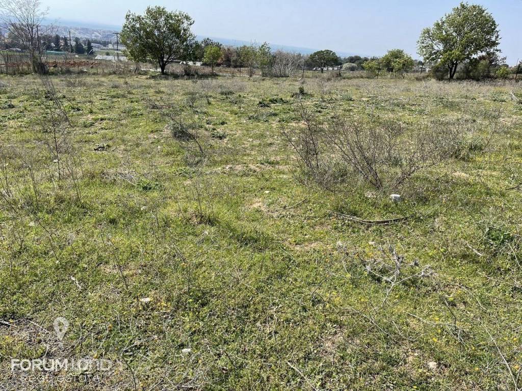 Forumland Real Estate, αγροτεμάχιο 4.000τμ