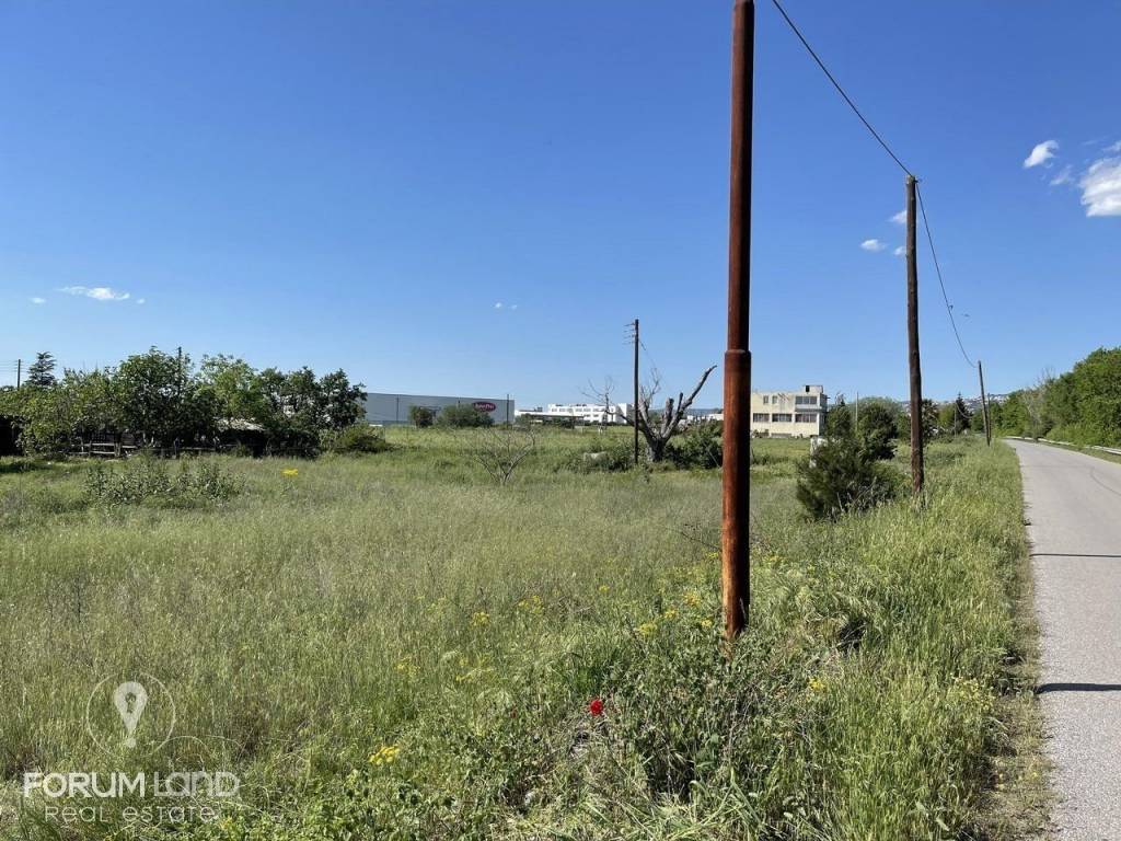 Forumland Real Estate, Αγροτεμάχιο 16.000τ.μ.