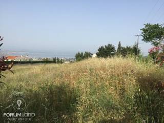 Forumland Real Estate, αγροτεμάχιο