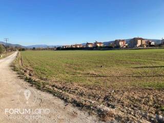 Forumland Real Estate, Αγροτεμάχιο 22.185τ.μ.