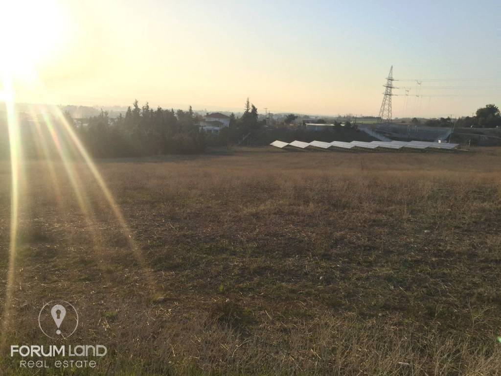 Forumland Real Estate, Αγροτεμάχιο 7.500τ.μ.