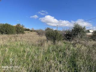 Forumland Real Estate, Αγροτεμάχιο 4.000τ.μ.