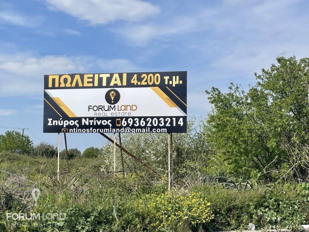 Forumland Real Estate, Αγροτεμάχιο