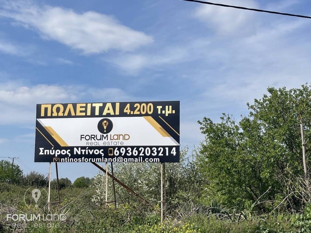 Forumland Real Estate, Αγροτεμάχιο