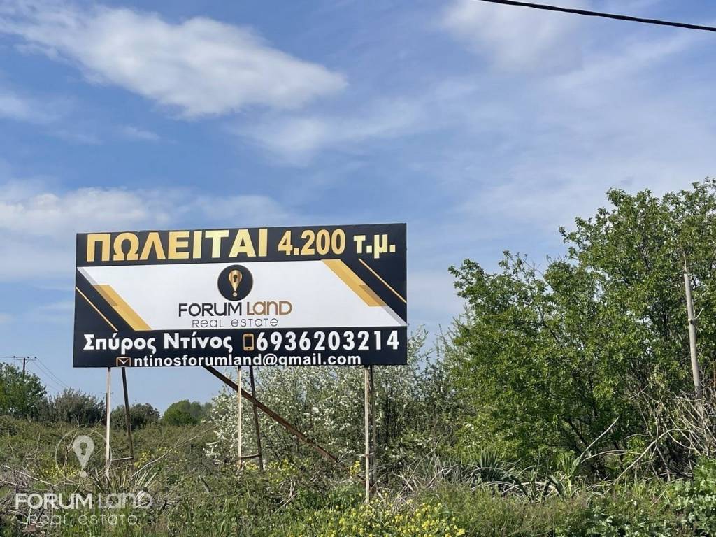 Forumland Real Estate, Αγροτεμάχιο