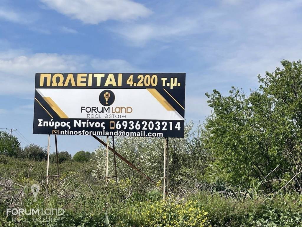 Forumland Real Estate, Αγροτεμάχιο