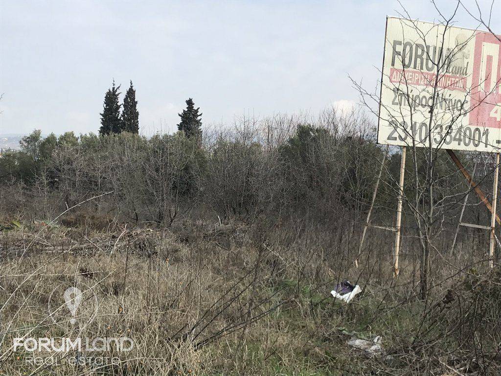 Forumland Real Estate ,Αγροτεμάχιο 4.200τμ