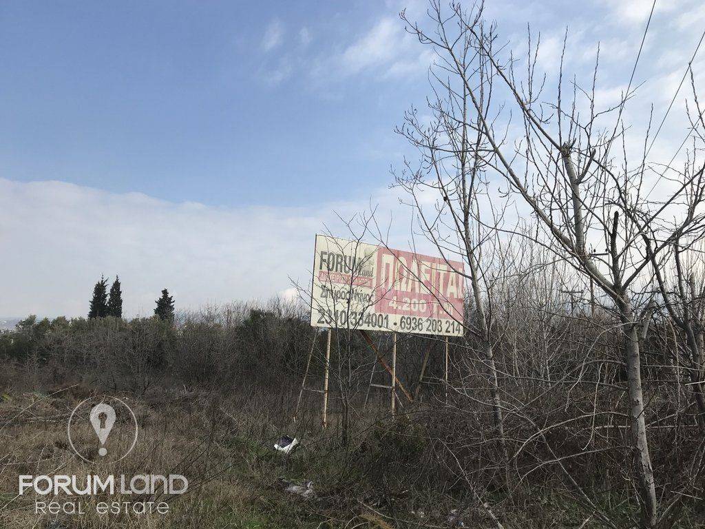 Forumland Real Estate ,αγροτεμάχιο 4.200τμ