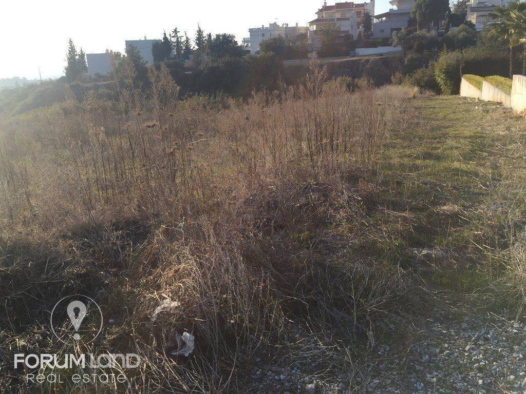 Forumland Real Estate , Aγροτεμάχιο 2.500τμ.