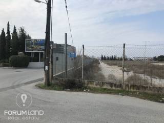 Forumland Real Estate,αγροτεμαχιο 8000 τμ