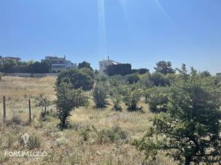 Forumland Real Estate, αγροτεμάχιο