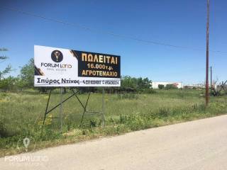 Forumland Real Estate, Αγροτεμάχιο