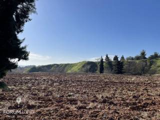 Forumland Real Estate, Αγροτεμάχιο 5.000τ.μ.