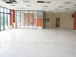 Forumland Real Estate, Επαγγελματικός χώρος 2400τμ