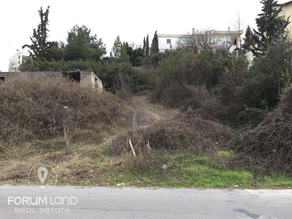 Forumland Real Estate ,οικόπεδο 850τμ