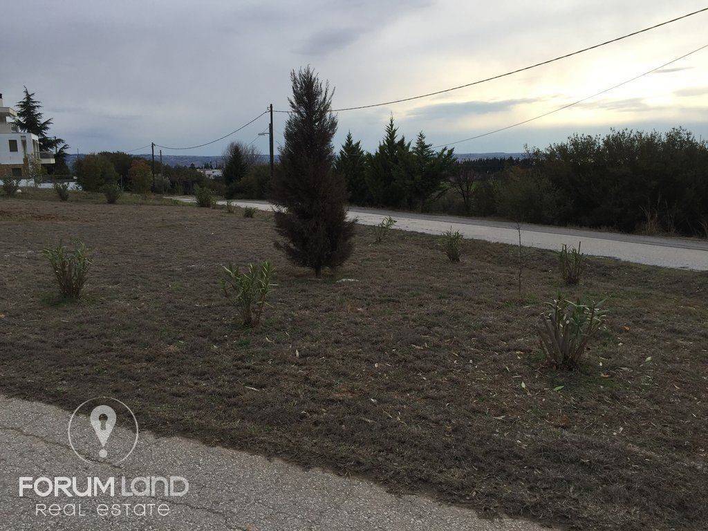 Forumland Real Estate  ,οικόπεδο 750τμ