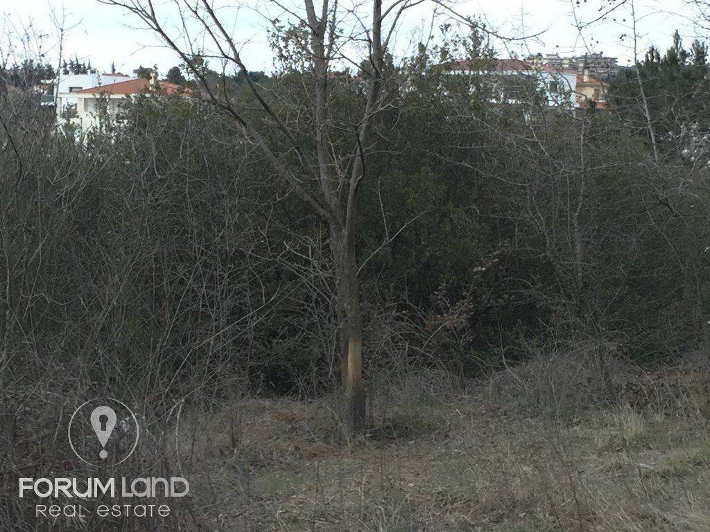 Forumland Real Estate ,οικόπεδο 850τμ