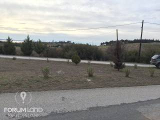 Forumland Real Estate  ,οικόπεδο 750τμ