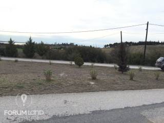 Forumland Real Estate  ,οικόπεδο 750τμ