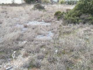 Forumland Real Estate,  Oικόπεδο 750τμ