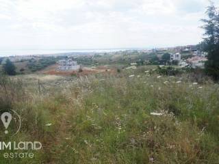 Forumland Real Estate, Αγροτεμάχιο 6.000τμ. με εκπληκτική  θέα