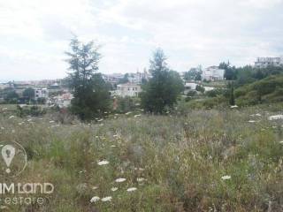 Forumland Real Estate, Αγροτεμάχιο 6.000τμ. με εκπληκτική  θέα