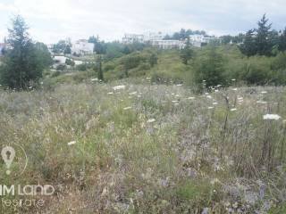 Forumland Real Estate, Αγροτεμάχιο 6.000τμ. με εκπληκτική  θέα