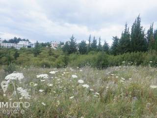 Forumland Real Estate, Αγροτεμάχιο 6.000τμ. με εκπληκτική  θέα