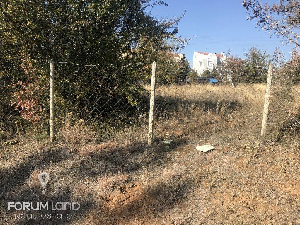 Forumland Real Estate, οικόπεδο 850τμ.