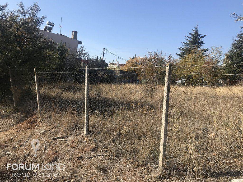 Forumland Real Estate, οικόπεδο 850τμ.