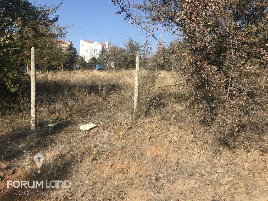 Forumland Real Estate, οικόπεδο 850τμ.