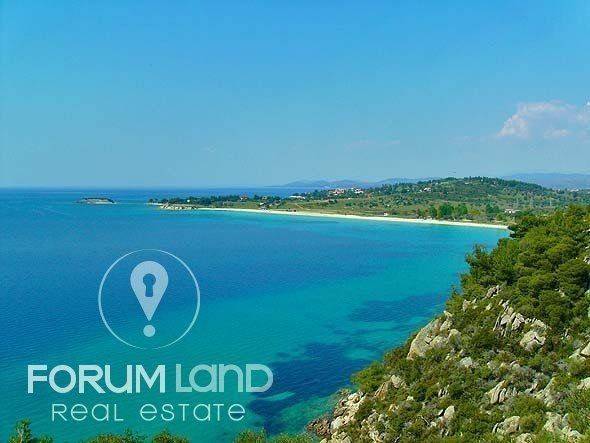 Forumland Real Estate, Αγροτεμάχιο 32.000.000τ.μ.