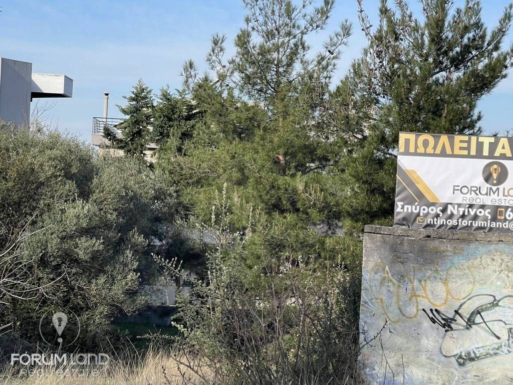 Forumland Real Estate, Οικόπεδο