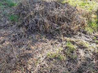 Αποψη χώρου