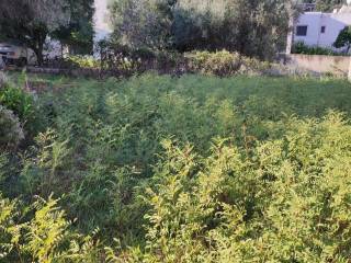 Αποψη χώρου