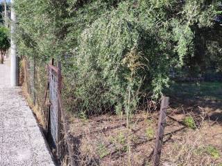 Αποψη χώρου