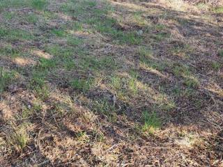 Αποψη χώρου