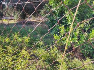 Αποψη χώρου