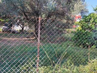 Αποψη χώρου