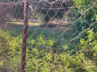 Αποψη χώρου