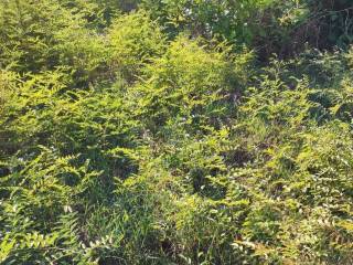 Αποψη χώρου