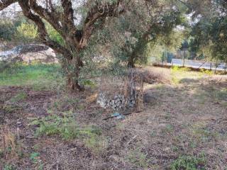 Αποψη χώρου