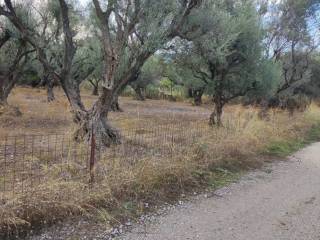 Αποψη χώρου